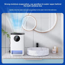 Portable Air Dehumidifier